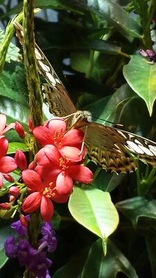 20130813_143823.jpg