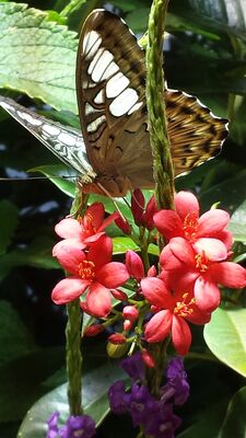 20130813_143827.jpg