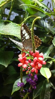 20130813_143831.jpg