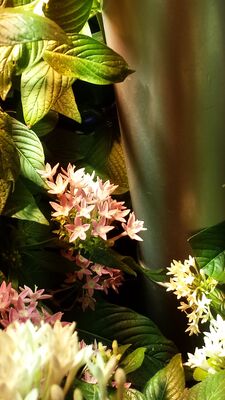 20130813_143855.jpg