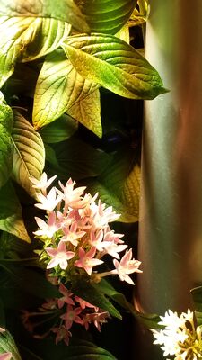 20130813_143903(0).jpg
