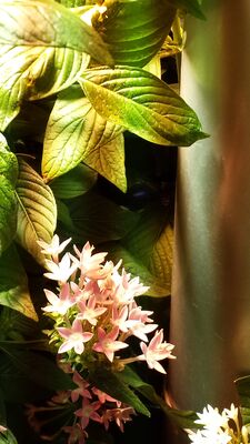 20130813_143903.jpg