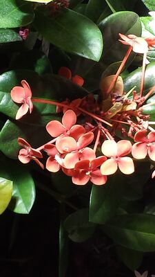 20130813_143914.jpg