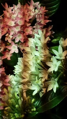 20130813_143921.jpg