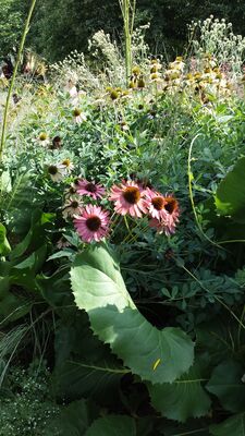 20130813_154808.jpg