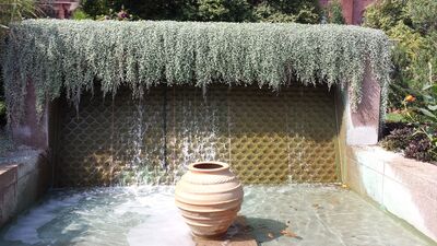 20130813_155354.jpg
