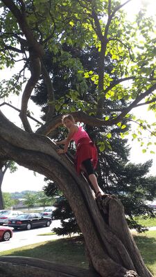 20130813_162804.jpg
