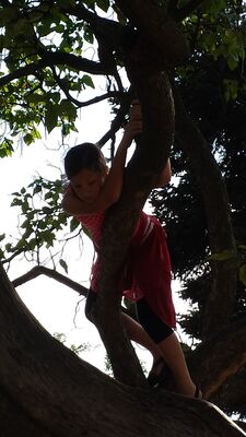 20130813_162827.jpg