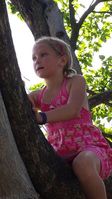 20130813_162858.jpg