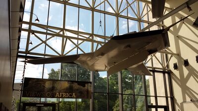 20130814_154925.jpg