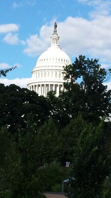 20130814_172517.jpg