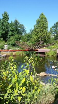 20130815_152918.jpg