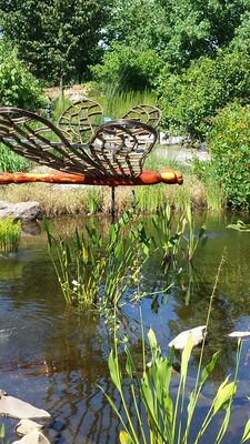 20130815_152934.jpg