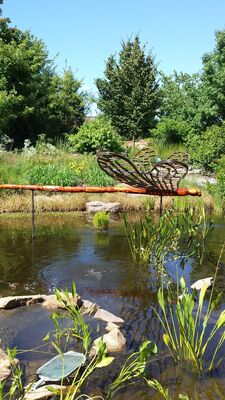 20130815_152941.jpg