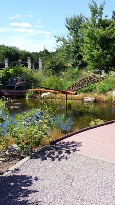 20130815_152957.jpg