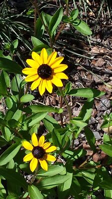 20130815_153016.jpg