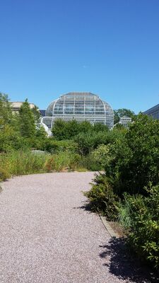 20130815_153030.jpg