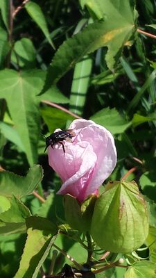 20130815_153051.jpg