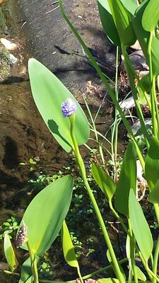 20130815_153100.jpg