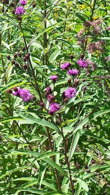 20130815_153112.jpg