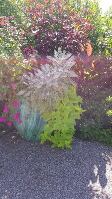 20130815_153250.jpg