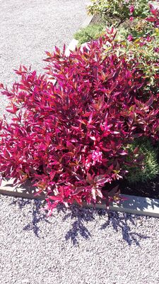 20130815_153336.jpg