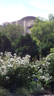 20130815_153352.jpg