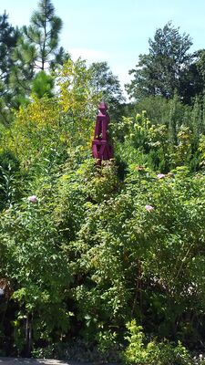 20130815_153400.jpg