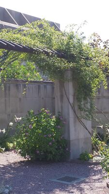 20130815_153458.jpg
