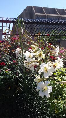 20130815_153505.jpg