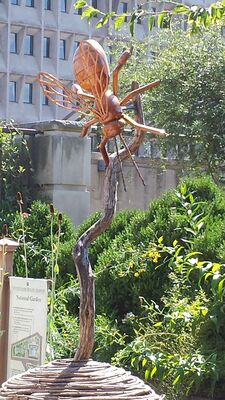 20130815_153546.jpg