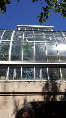 20130815_153604.jpg