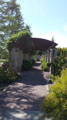 20130815_153719.jpg