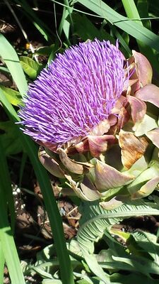 20130815_153804.jpg