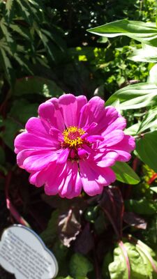 20130815_153823.jpg