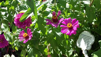 20130815_153830.jpg