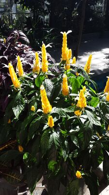 20130815_153922.jpg