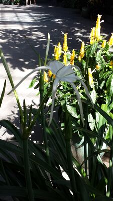 20130815_153956.jpg
