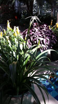 20130815_154028.jpg
