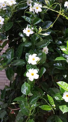 20130815_154050.jpg