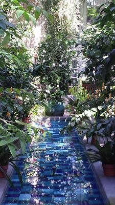 20130815_154118.jpg