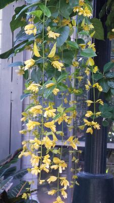 20130815_154135.jpg