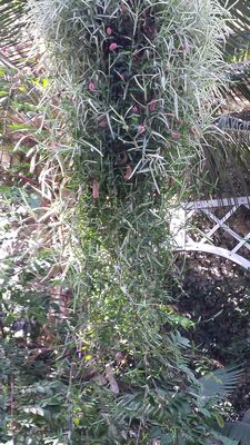 20130815_154150.jpg