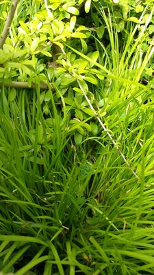 20130815_154228.jpg