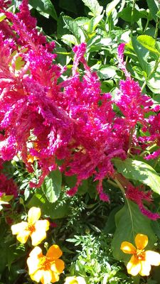 20130815_154301.jpg