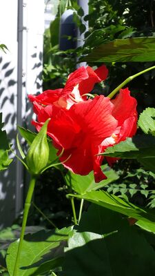 20130815_154330.jpg