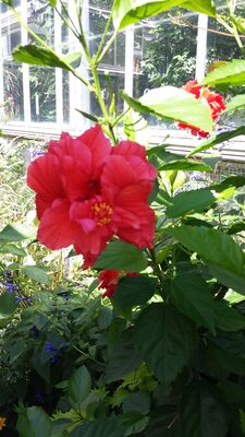 20130815_154409.jpg