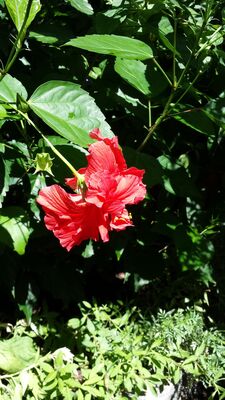 20130815_154434.jpg
