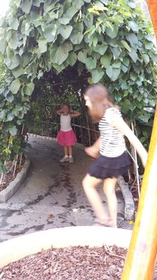 20130815_154513.jpg