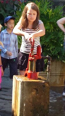 20130815_154651.jpg